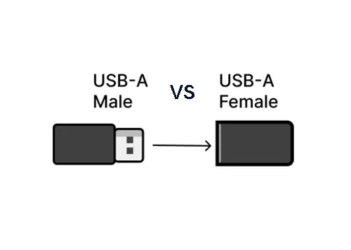 USB Male and USB Female